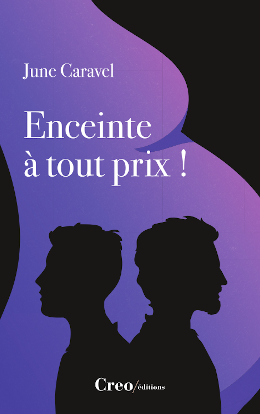 Miniature Diaporama Enceinte à tout prix !